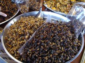Candied seafood at Amphawa floating markets Candied seafood at Amphawa floating markets