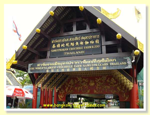 bangkok-crocodile-farm-02