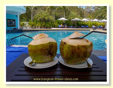 Coconuts at Karon Beach