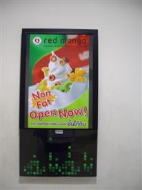 Fat free ice cream at Platinum Mall