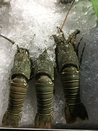 77 Seafood in Prachuap Beach 77 Seafood in Prachuap Beach