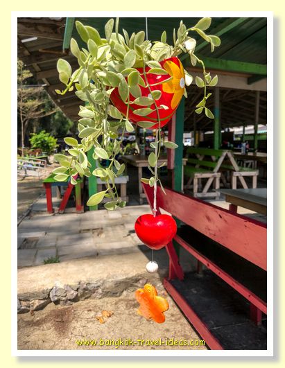 Places to eat at Bang Pu Beach Places to eat at Bang Pu Beach