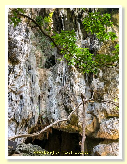 Vines of Phraya Nakhon cave The cave at Phraya Nakhon