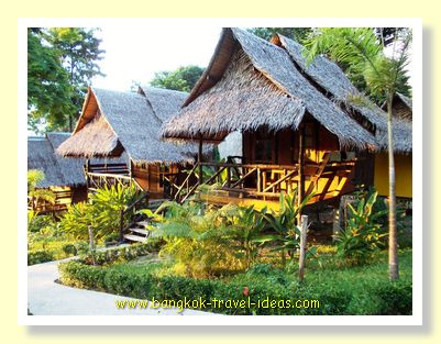 Tarzan Island hut for rent