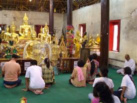 Gold elephants to be lifted with your little finger